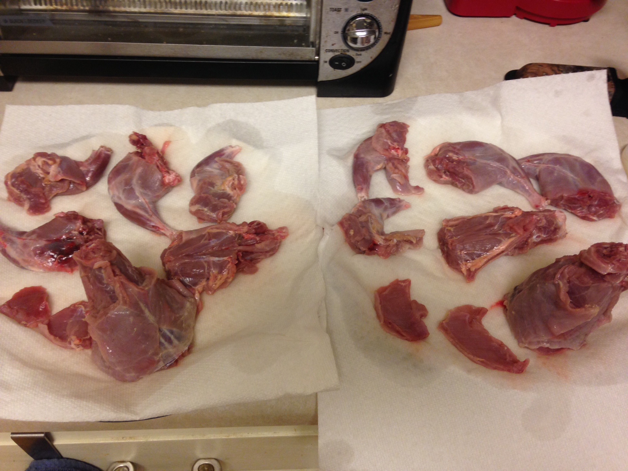 squirrel meat strips